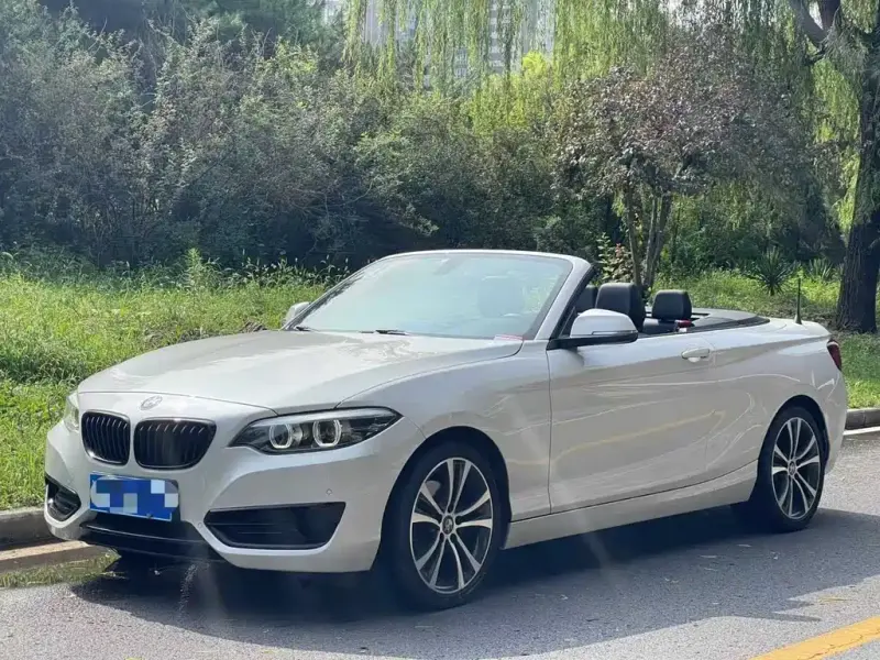 BMW 2 Series (Import), 2021