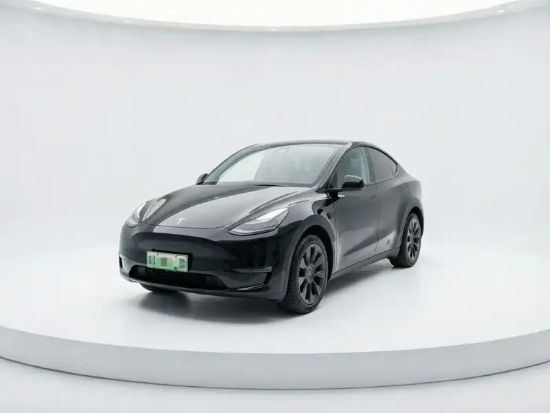 Tesla Model Y, 2024