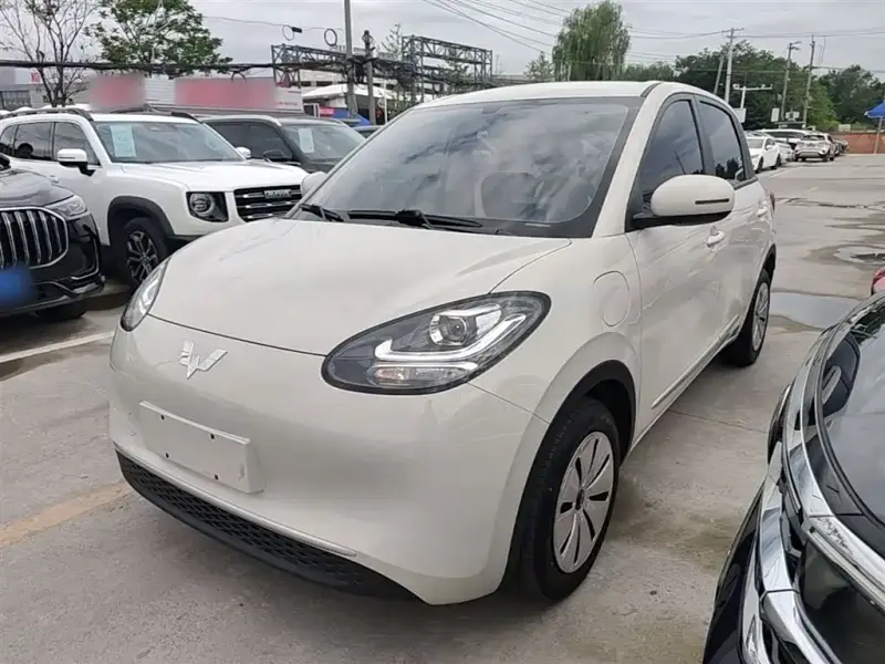 Wuling Bingo, 2024