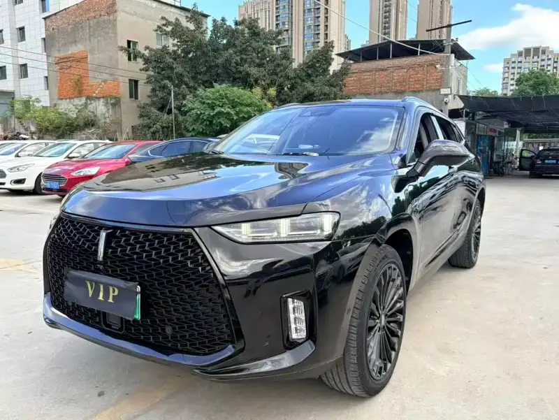 Wey P8, 2018