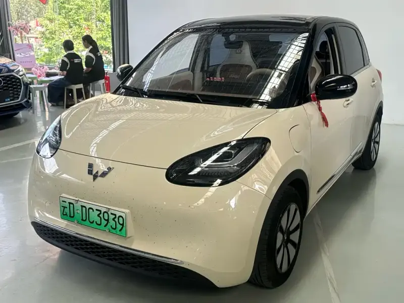 Wuling Bingo, 2025
