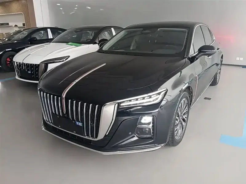 Hongqi H5, 2025
