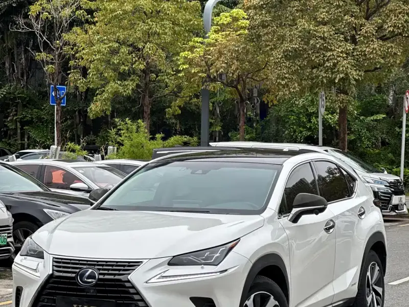 Lexus NX, 2018