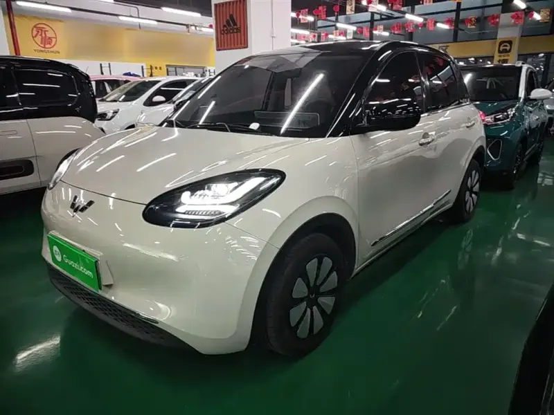 Wuling Bingo, 2024