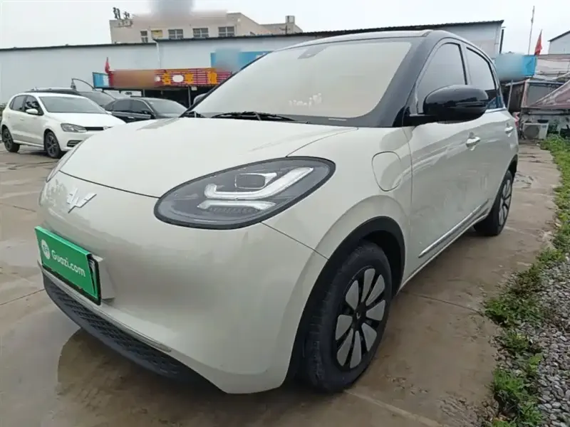 Wuling Bingo, 2023