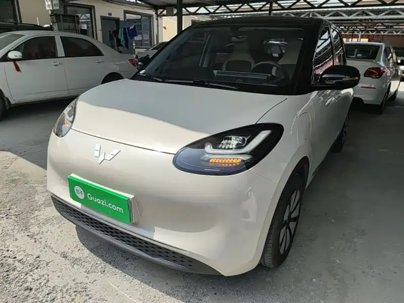 Wuling Bingo, 2024