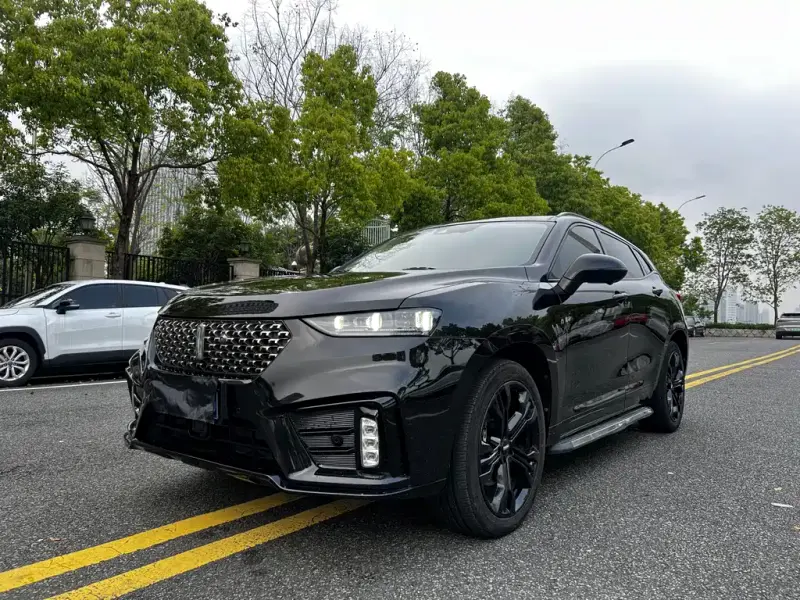 Wey VV7, 2019