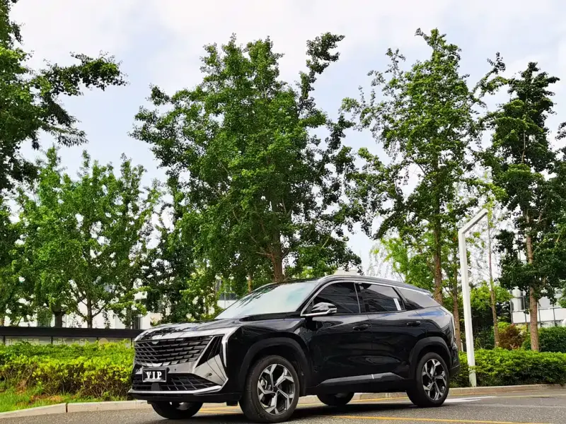 Geely Boyue L, 2024