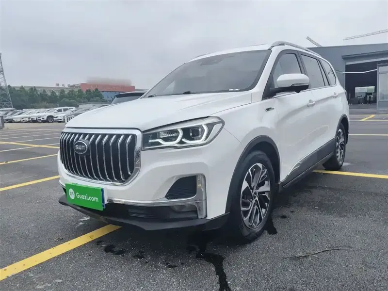 SWM G05, 2020
