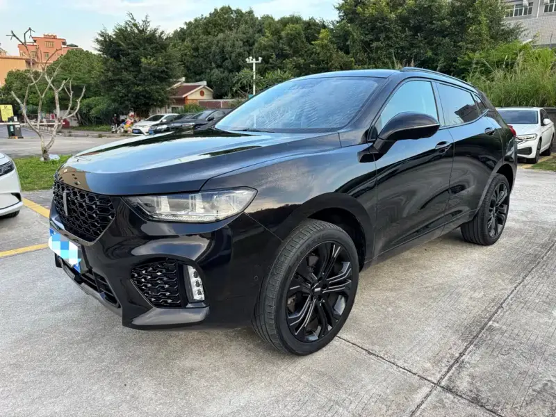 Wey VV5, 2018