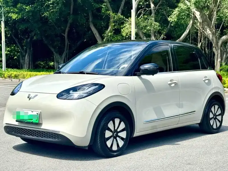Wuling Bingo, 2024