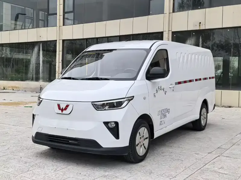 Wuling Yangguang, 2024