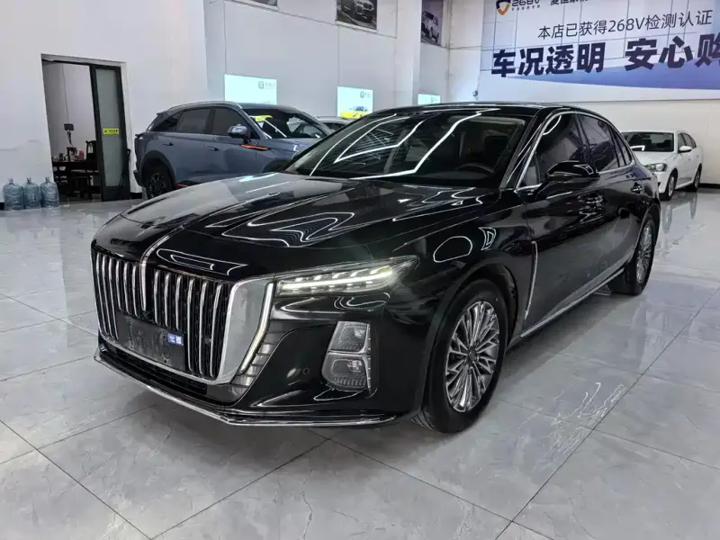 Hongqi H5, 2024