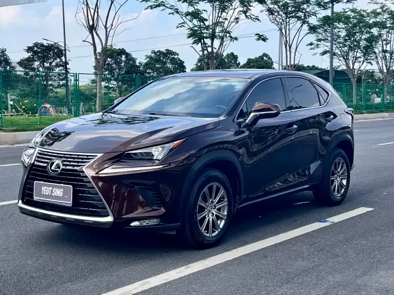 Lexus NX, 2019