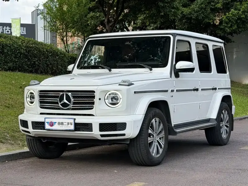 Mercedes-Benz G-Class, 2020 — фото 1