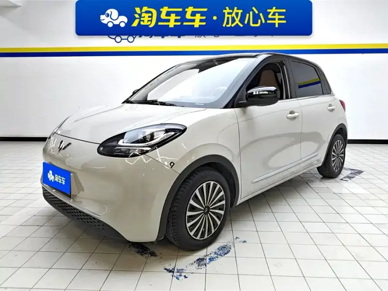 Wuling Bingo, 2024