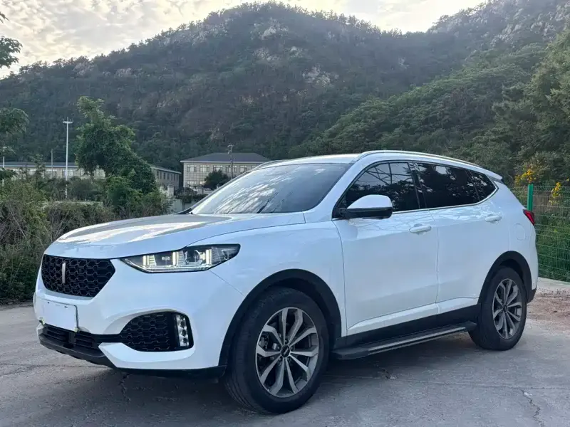 Wey VV6, 2019