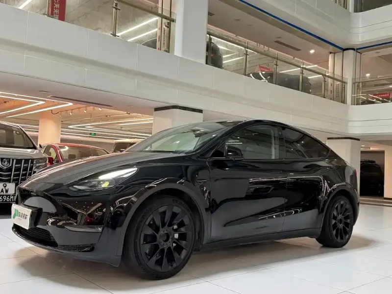 Tesla Model Y, 2021