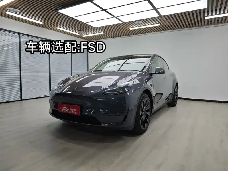 Tesla Model Y, 2021
