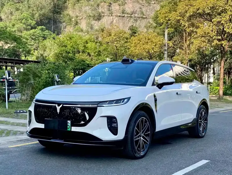 VOYAH Zhiyin, 2025