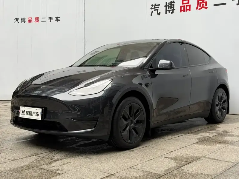 Tesla Model Y, 2024
