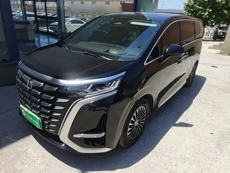 Denza D9, 2024