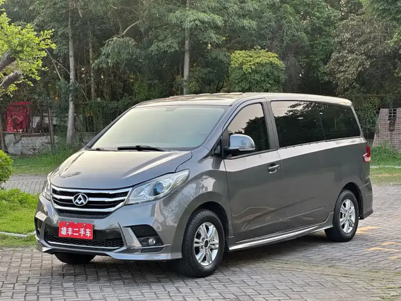 Maxus G10, 2019