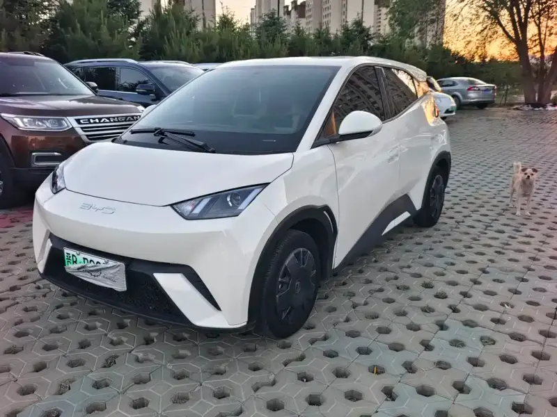 BYD Seagull, 2023 — фото 1