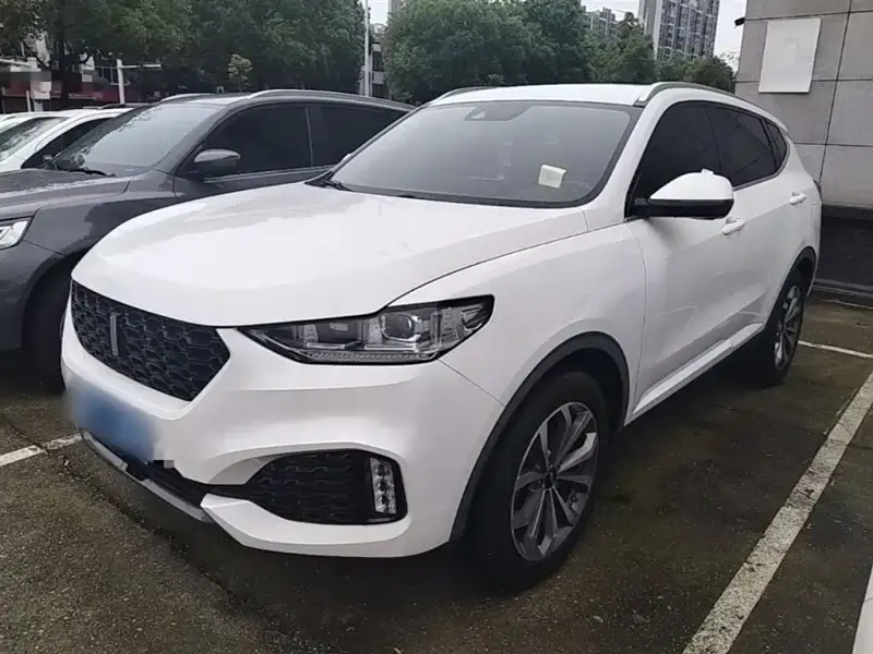 Wey VV6, 2019