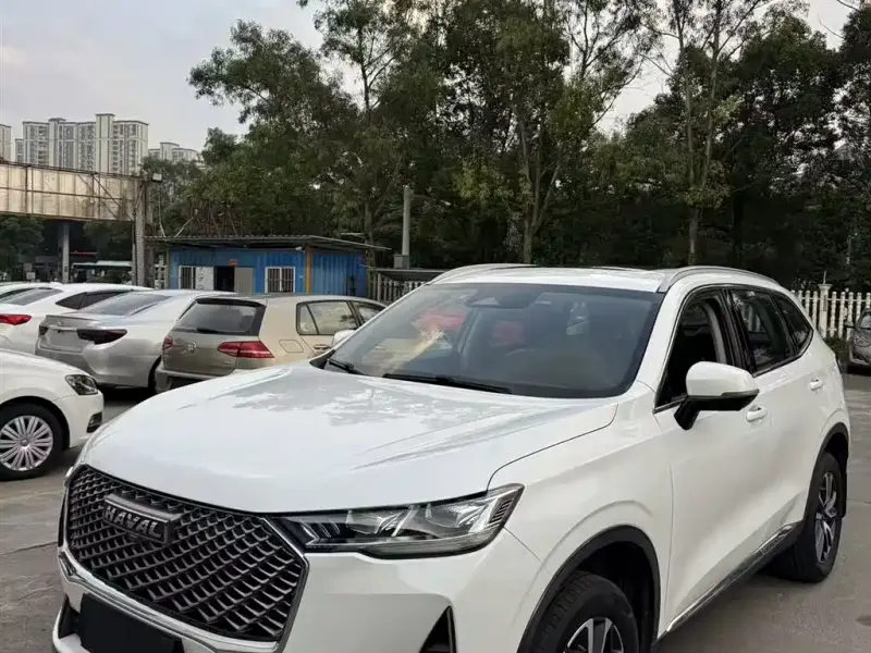 Haval H6, 2021