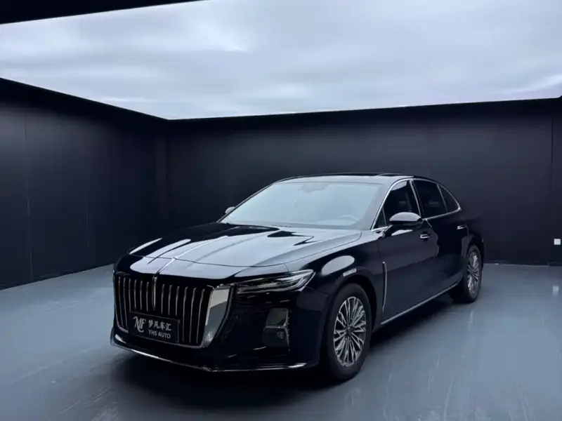 Hongqi H5, 2024