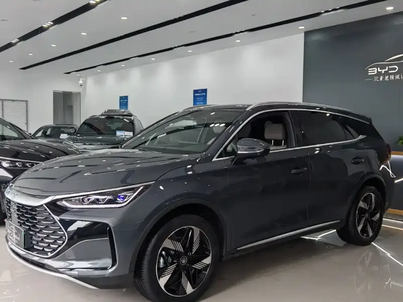 BYD Tang New Energy, 2024