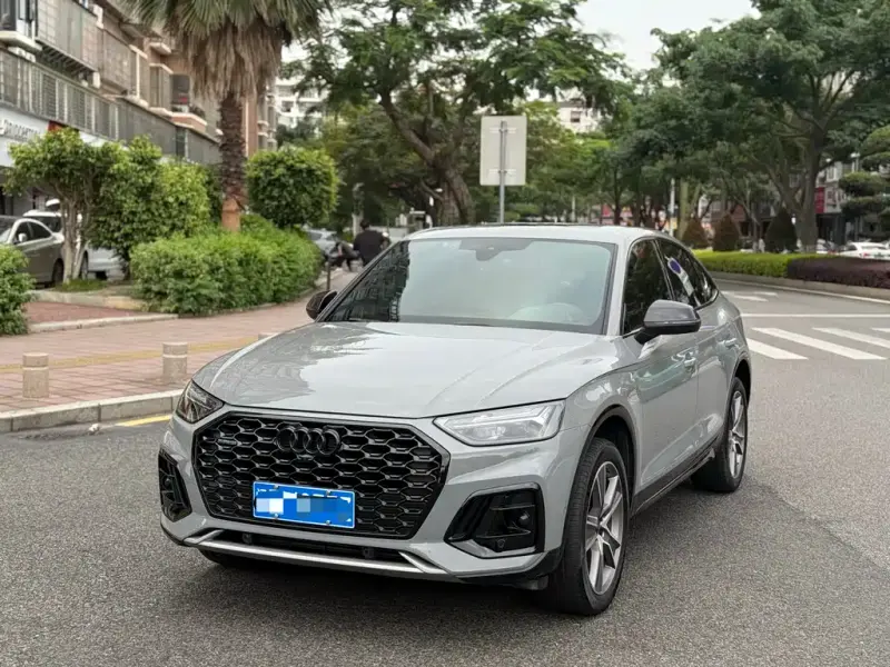 Audi Q5L, 2023
