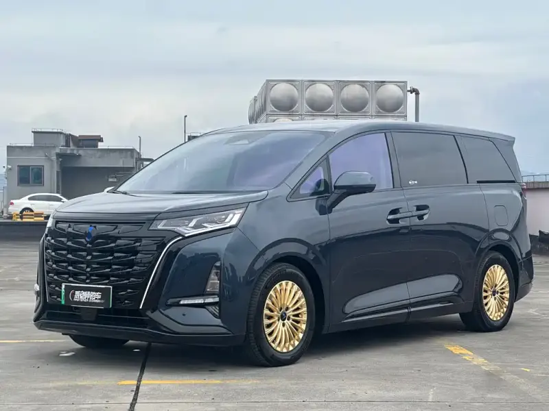 Denza D9, 2024