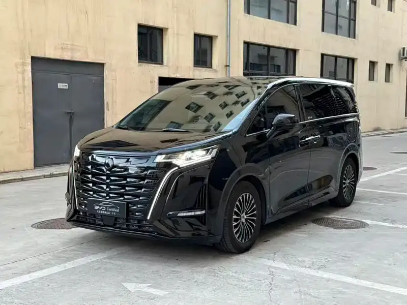 Denza D9, 2024