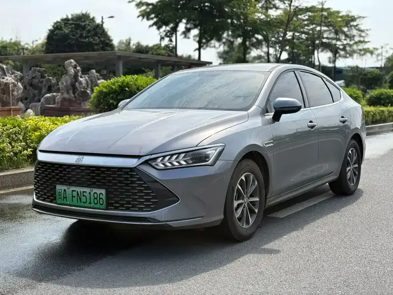BYD Qin PLUS, 2024 — фото 1