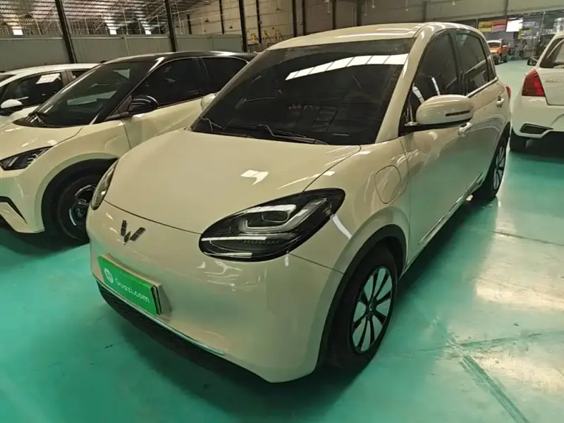 Wuling Bingo, 2025