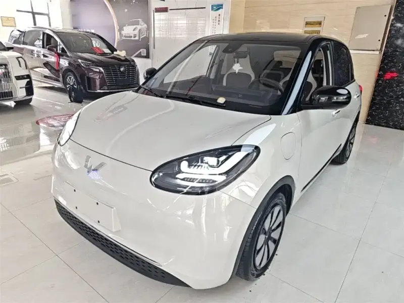 Wuling Bingo, 2023