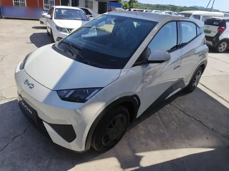 BYD Seagull, 2026