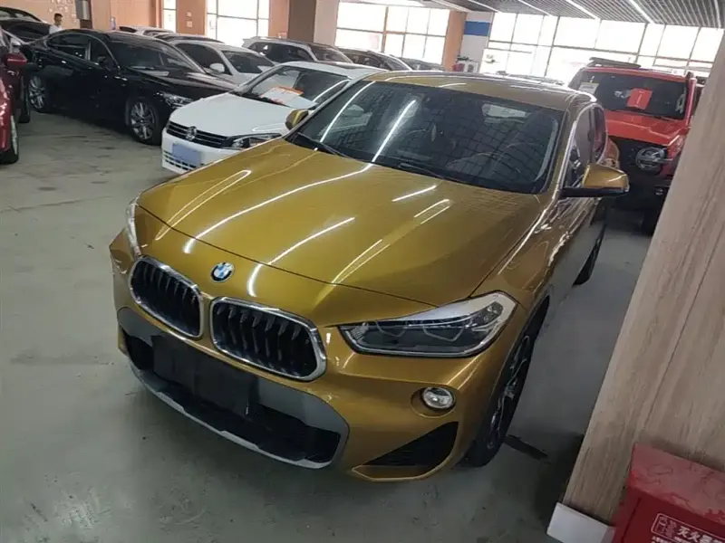 BMW X2 (Import), 2019 — фото 1