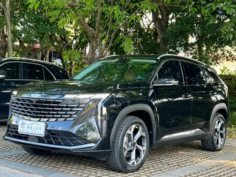 Geely Boyue L, 2023