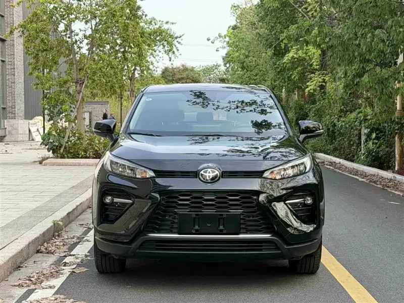 Toyota Wildlander, 2021