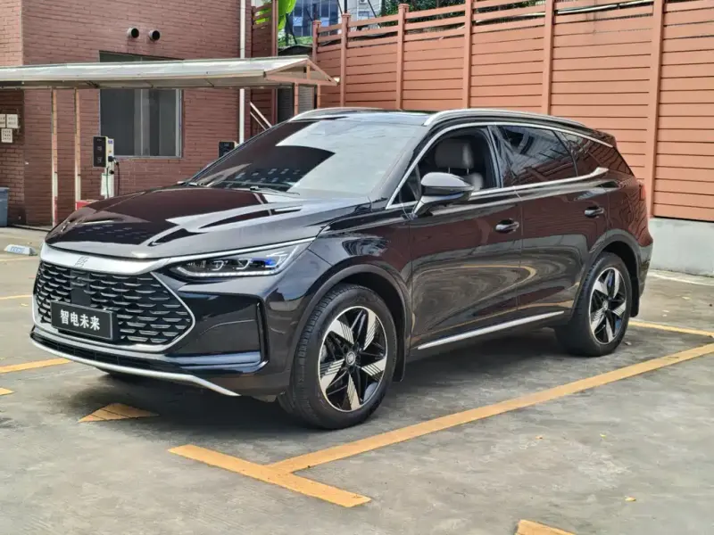 BYD Tang New Energy, 2024