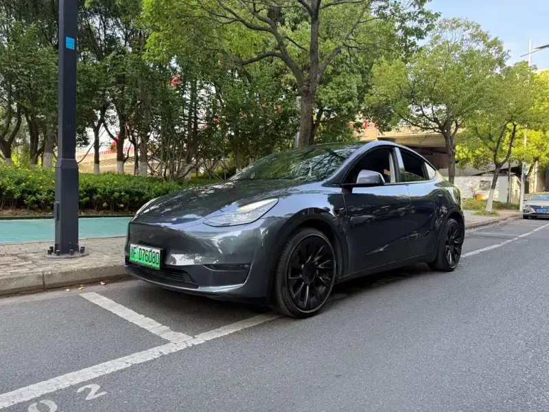 Tesla Model Y, 2021