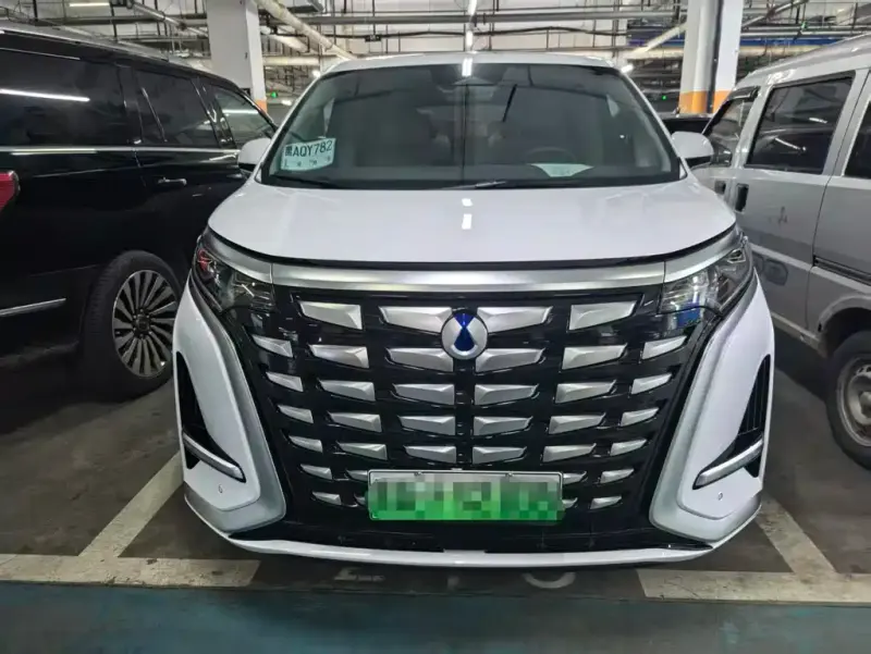 Denza D9, 2023