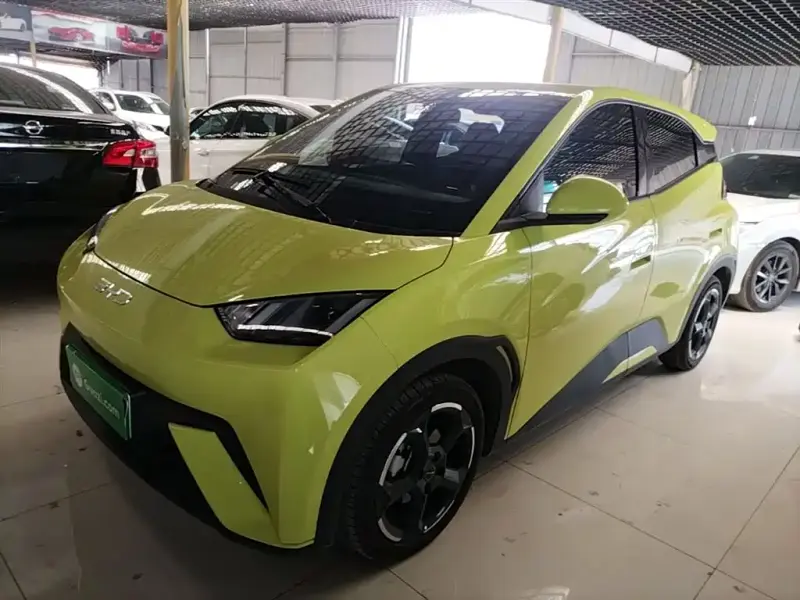 BYD Seagull, 2024