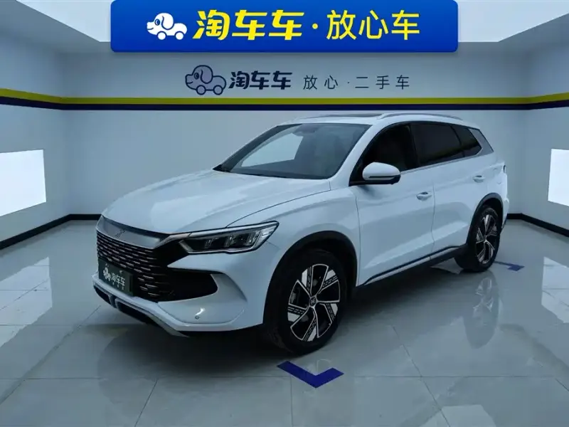BYD Pro New Energy, 2024 — фото 1