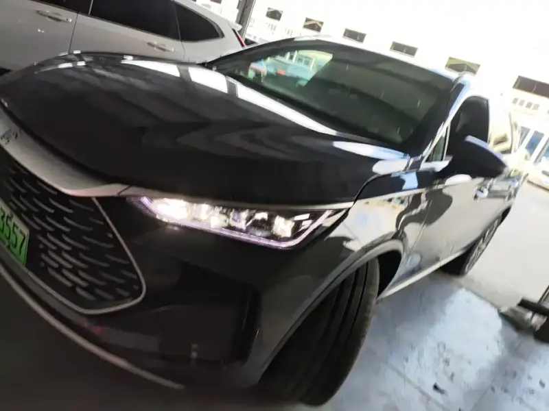 BYD Tang New Energy, 2024