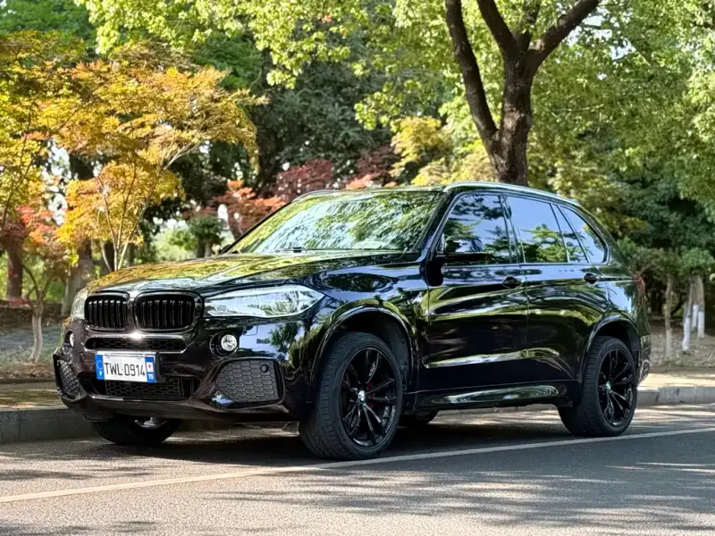 BMW X5 (Import), 2018 — фото 1