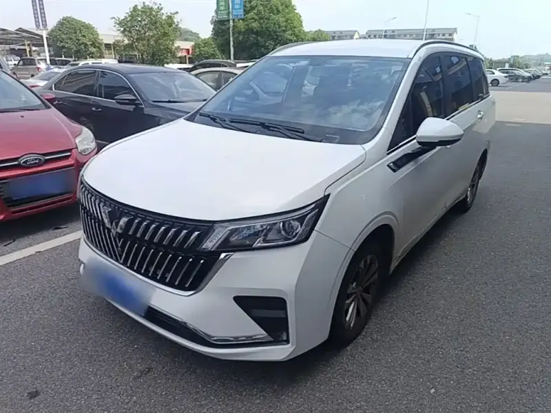 Wuling Jiachen, 2023